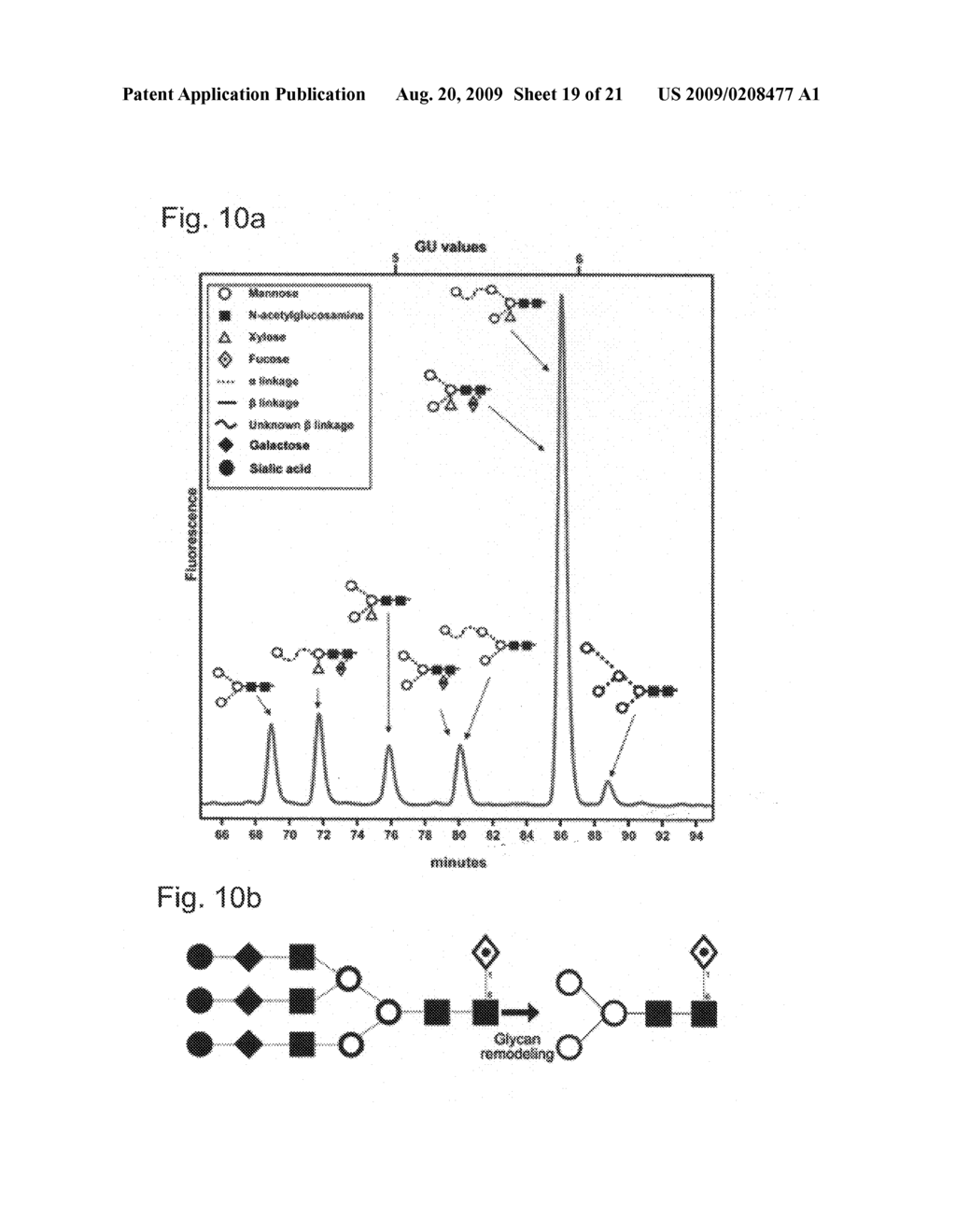 Production of high mannose proteins in plant culture - diagram, schematic, and image 20