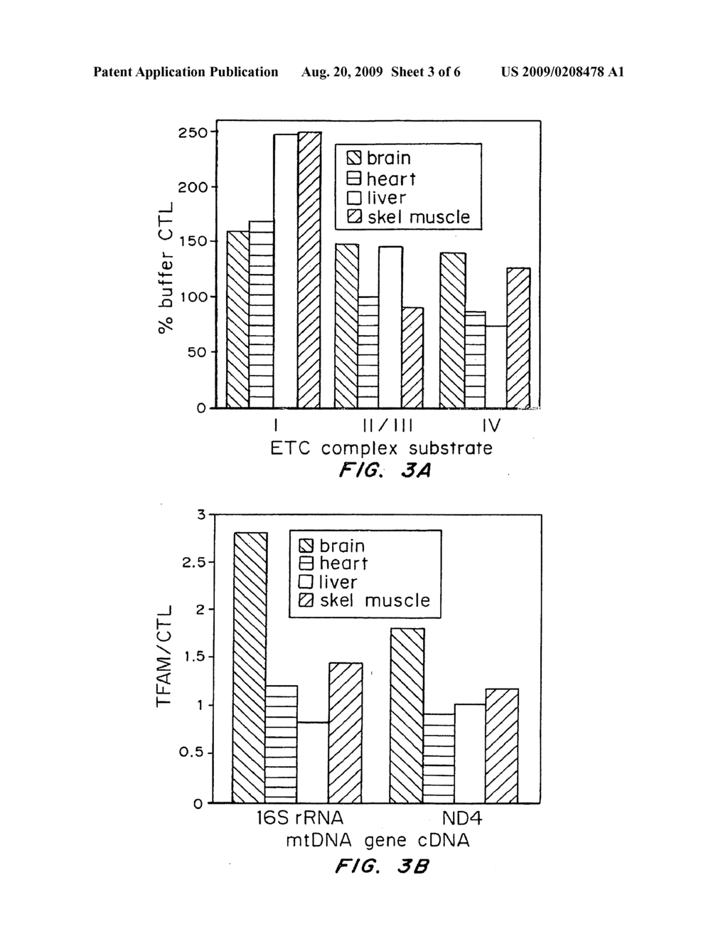 TRANSDUCIBLE POLYPEPTIDES FOR MODIFYING METABOLISM - diagram, schematic, and image 04