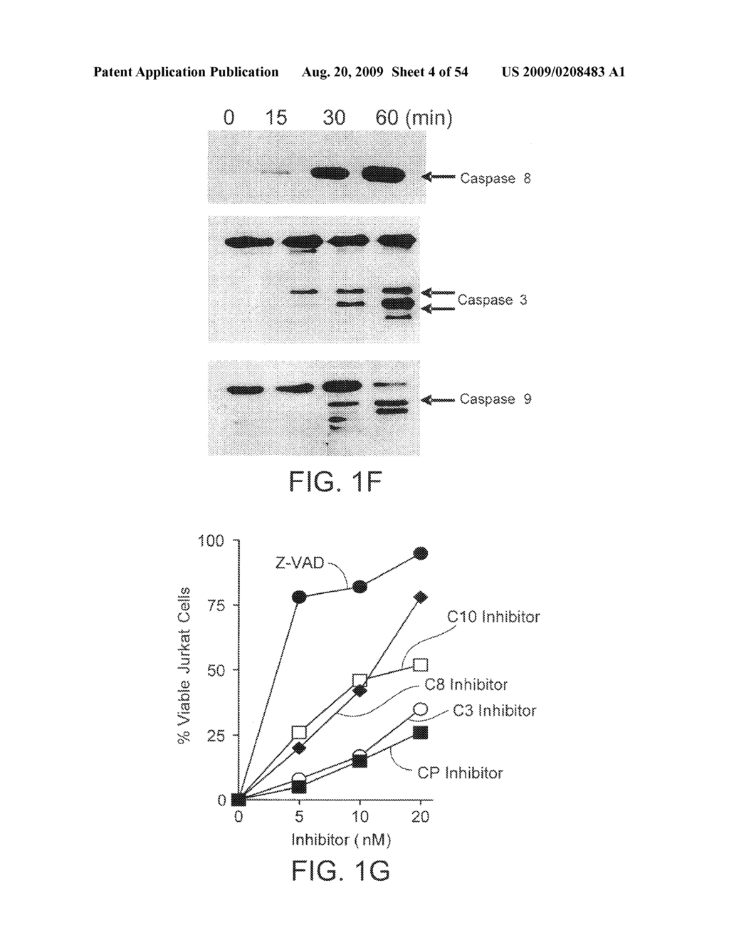 ANTIBODY SELECTIVE FOR DR4 AND USES THEREOF - diagram, schematic, and image 05