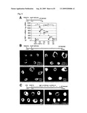 Pharmaceutical composition comprising cxcr3 inhibitor diagram and image