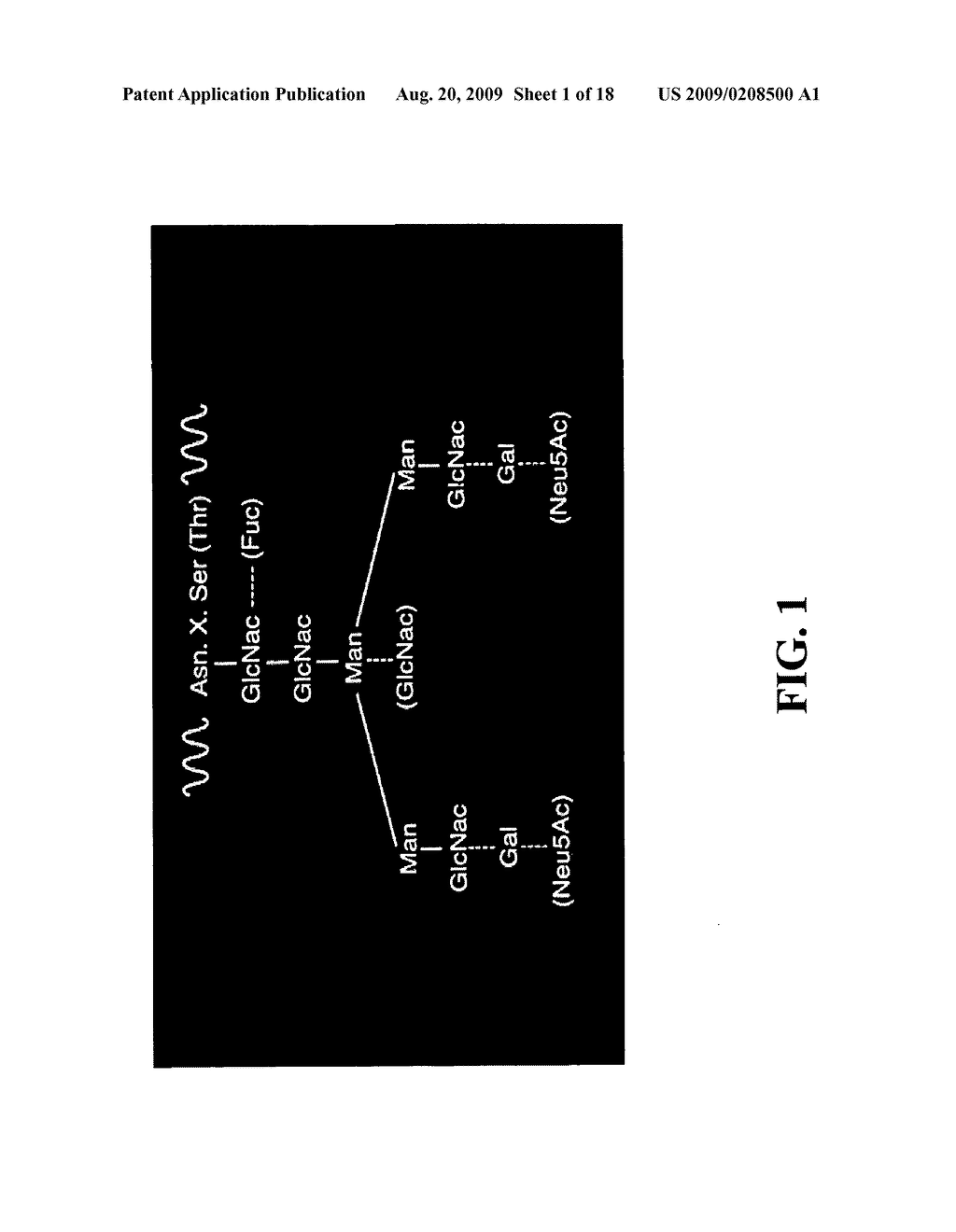 Method of producing antibodies with improved function - diagram, schematic, and image 02