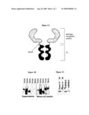 Anti-Pathogen Immunoadhesins diagram and image