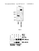 Anti-Pathogen Immunoadhesins diagram and image