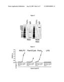 Anti-Pathogen Immunoadhesins diagram and image