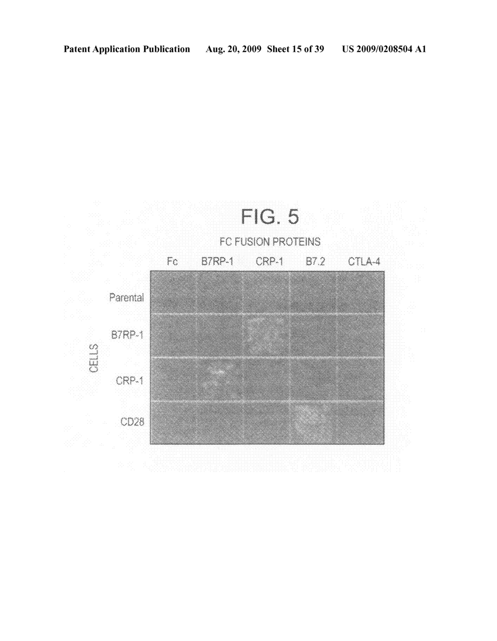 Polypeptides involved in immune response - diagram, schematic, and image 16