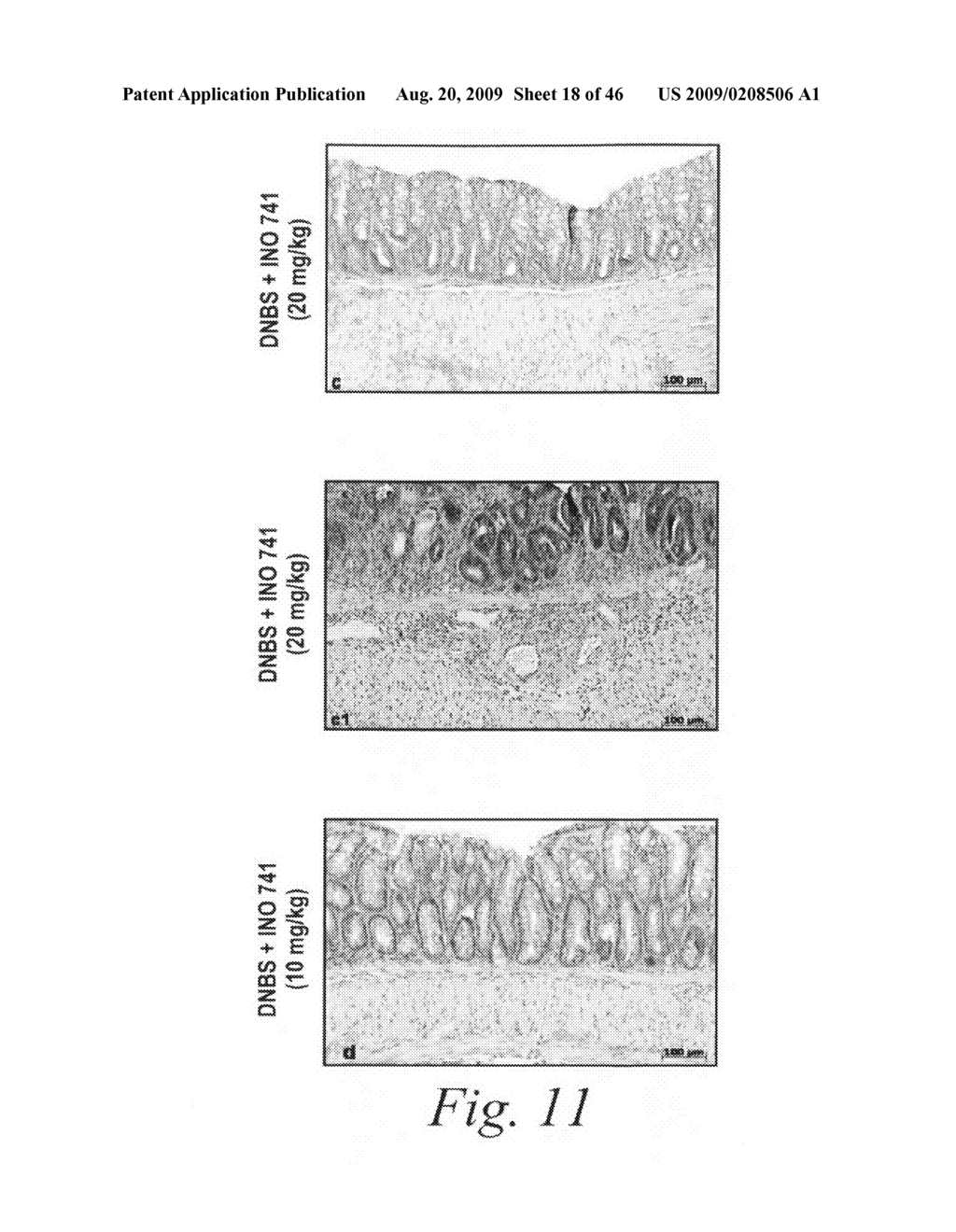 Antibodies against flagellin and uses thereof - diagram, schematic, and image 19