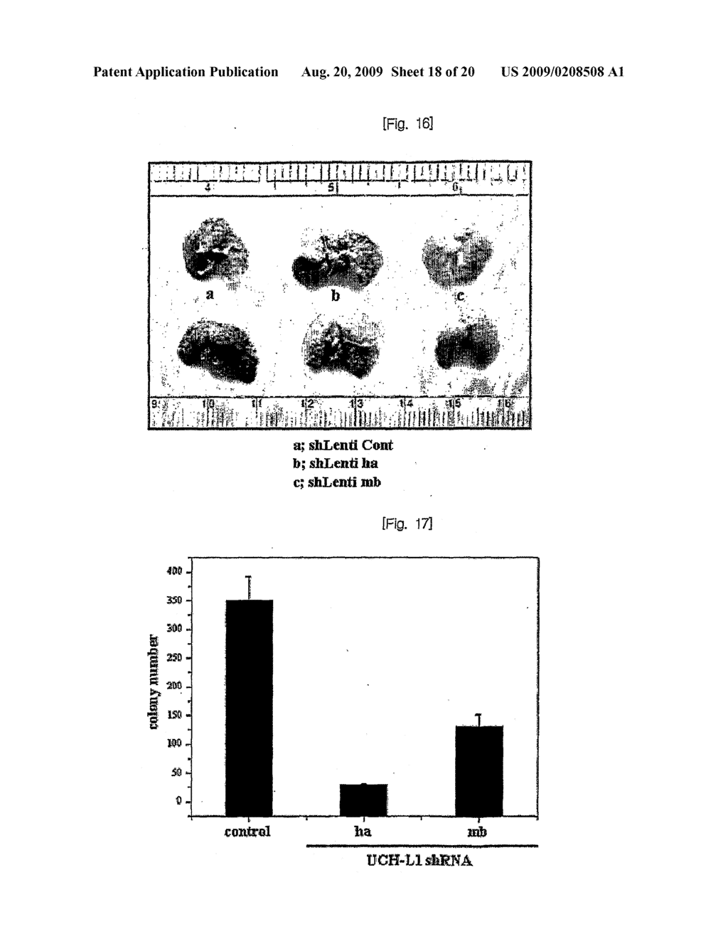 NOVEL USE OF UBIQUITIN C-TERMINAL HYDROLASE-L1 - diagram, schematic, and image 19