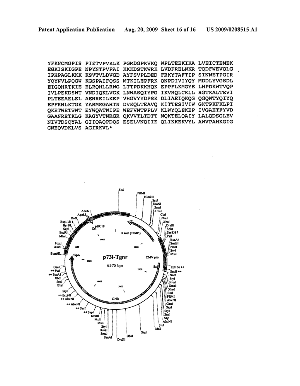 VACCINE COMPOSITION - diagram, schematic, and image 17