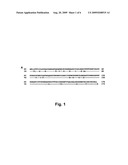 Novel Neospora caninum Vaccine diagram and image