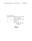 Novel Neospora caninum Vaccine diagram and image