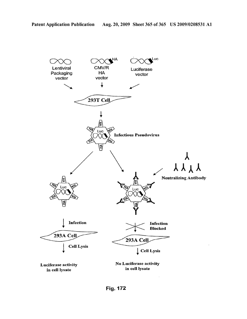 ANTIVIRAL AGENTS AND VACCINES AGAINST INFLUENZA - diagram, schematic, and image 366