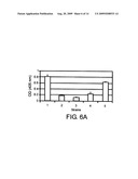 NEISSERIA MENINGITIDIS SEROGROUP A CAPSULAR POLYSACCHARIDE ACETYLTRANSFERASE, METHODS AND COMPOSITIONS diagram and image