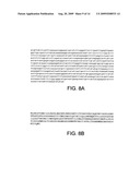 NEISSERIA MENINGITIDIS SEROGROUP A CAPSULAR POLYSACCHARIDE ACETYLTRANSFERASE, METHODS AND COMPOSITIONS diagram and image