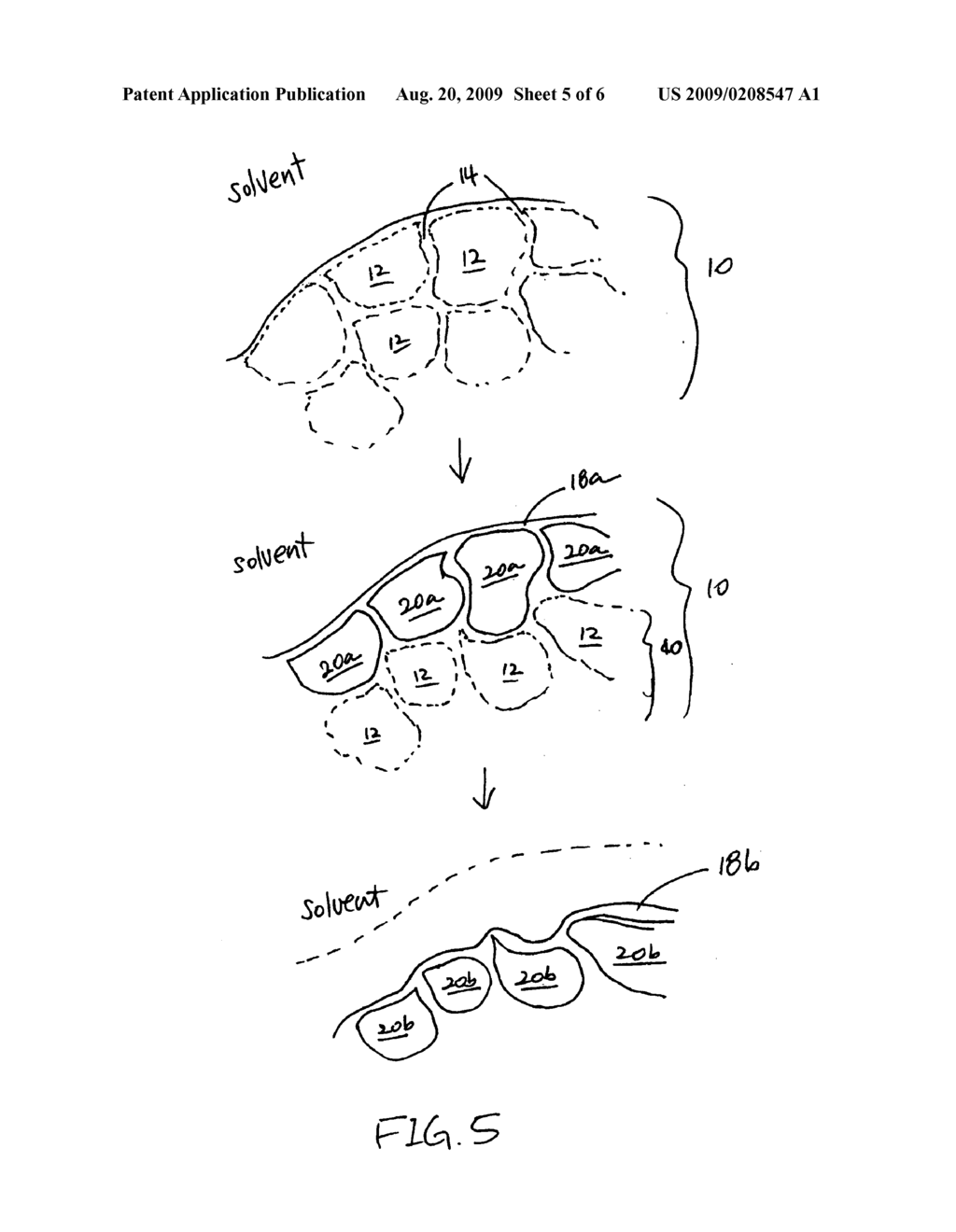 Oxidizing composition including a gel layer - diagram, schematic, and image 06