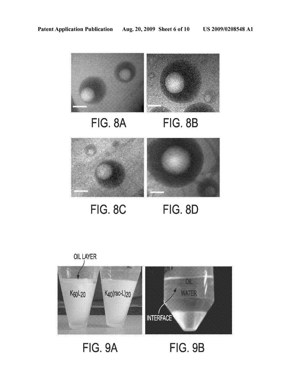 COPOLYMER-STABILIZED EMULSIONS - diagram, schematic, and image 07