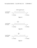 Compositions of asymmetric interfering RNA and uses thereof diagram and image