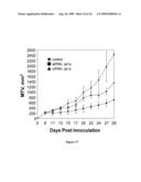 Compositions of asymmetric interfering RNA and uses thereof diagram and image