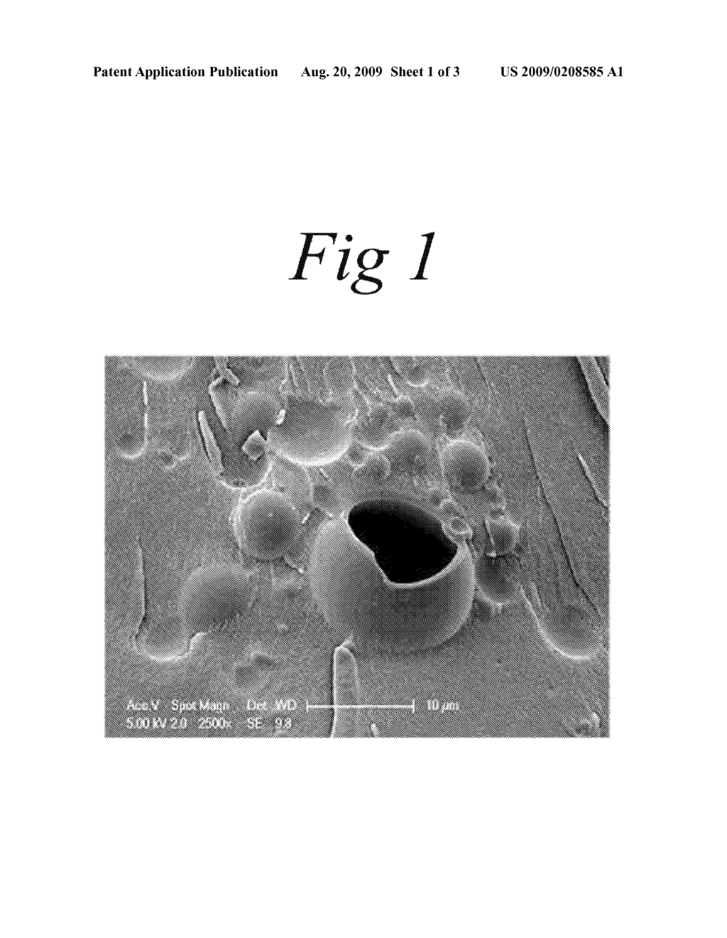 STABILISATION OF BIOLOGICAL MATERIALS - diagram, schematic, and image 02