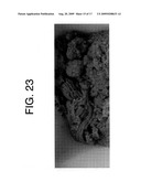 Protein Composition for Meat Products or Meat Analog Products diagram and image