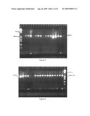 PARTICLE MATRIX FOR STORAGE OF BIOMOLECULES diagram and image