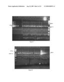 PARTICLE MATRIX FOR STORAGE OF BIOMOLECULES diagram and image