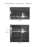 PARTICLE MATRIX FOR STORAGE OF BIOMOLECULES diagram and image