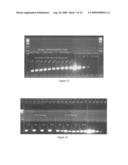 PARTICLE MATRIX FOR STORAGE OF BIOMOLECULES diagram and image