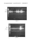 PARTICLE MATRIX FOR STORAGE OF BIOMOLECULES diagram and image