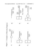 Methods of detecting sequence-specific DNA binding proteins diagram and image