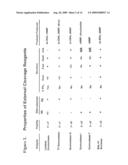 Methods of detecting sequence-specific DNA binding proteins diagram and image