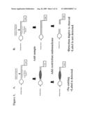 Methods of detecting sequence-specific DNA binding proteins diagram and image