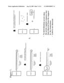 Methods of detecting sequence-specific DNA binding proteins diagram and image