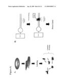 Methods of detecting sequence-specific DNA binding proteins diagram and image