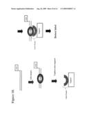 Methods of detecting sequence-specific DNA binding proteins diagram and image