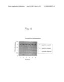 CYTOTOXIC PROTEIN AND UTLIZATION THEREOF diagram and image