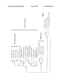 Burkholderia rhizoxina micro-organisms, novel endosymbionts of rhizopus sp. and method for producing rhizoxin and/or rhizoxin-derivates using said micro-organisms diagram and image