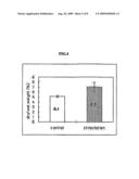 collagenous matrix with improved porosity and tensile strength and preparation method therefore by using mechanical stimulation system diagram and image