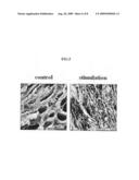 collagenous matrix with improved porosity and tensile strength and preparation method therefore by using mechanical stimulation system diagram and image