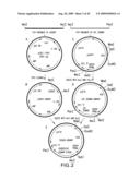 Combinatorial DNA library for producing modified N-glycans in lower eukaryotes diagram and image