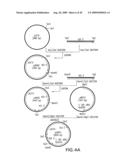 Combinatorial DNA library for producing modified N-glycans in lower eukaryotes diagram and image