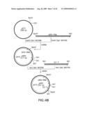 Combinatorial DNA library for producing modified N-glycans in lower eukaryotes diagram and image