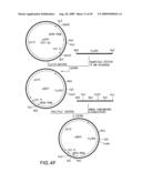 Combinatorial DNA library for producing modified N-glycans in lower eukaryotes diagram and image