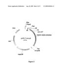 ALPHA-AMYLASE VARIANTS WITH ALTERED PROPERTIES diagram and image