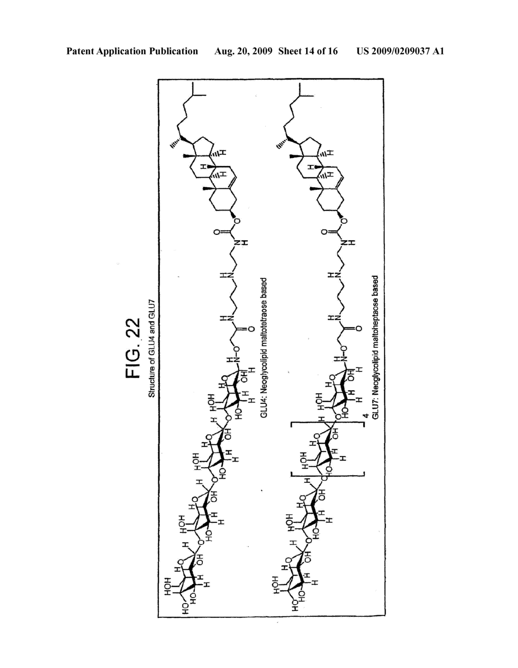 Viral core protein-cationic lipid-nucleic acid-delivery complexes - diagram, schematic, and image 15