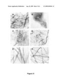 Peptides and methods for inhibiting amyloid formation diagram and image