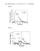 Luminescence Biotin-Transition Metal Complex Conjugate, and Method of Amplifying Signal Using the Same diagram and image