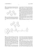 Luminescence Biotin-Transition Metal Complex Conjugate, and Method of Amplifying Signal Using the Same diagram and image