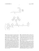 Luminescence Biotin-Transition Metal Complex Conjugate, and Method of Amplifying Signal Using the Same diagram and image