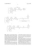 Luminescence Biotin-Transition Metal Complex Conjugate, and Method of Amplifying Signal Using the Same diagram and image