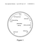 Microbial glyphosate resistant epsps diagram and image